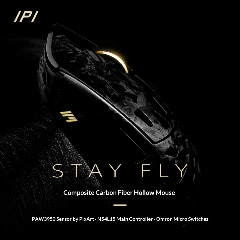 IPI FLY 탄소 섬유 무선 마우스 PAW3950 3 - Esports Gaming Mouse Wireless 리뷰 및 가격